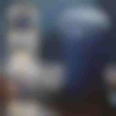 Picadora multiusos para todas sus necesidades | GRIDZ