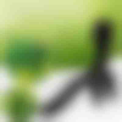 Herramienta de eliminación de malas hierbas | ROOTNIK