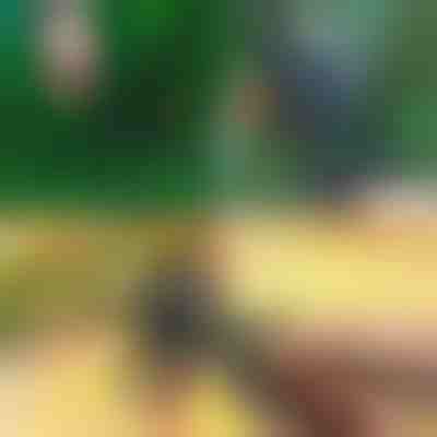 Tijeras profesionales 2 en 1 para podar e injertos | MASTERCUT