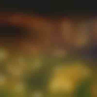 Luces solares de jardín (luz cálida) | SOMPEX